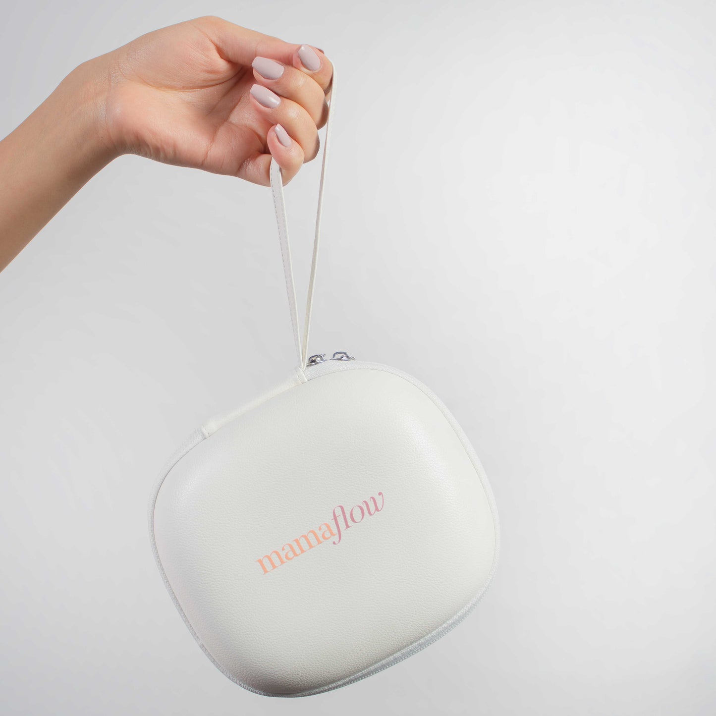 Portable Case for Single Pump